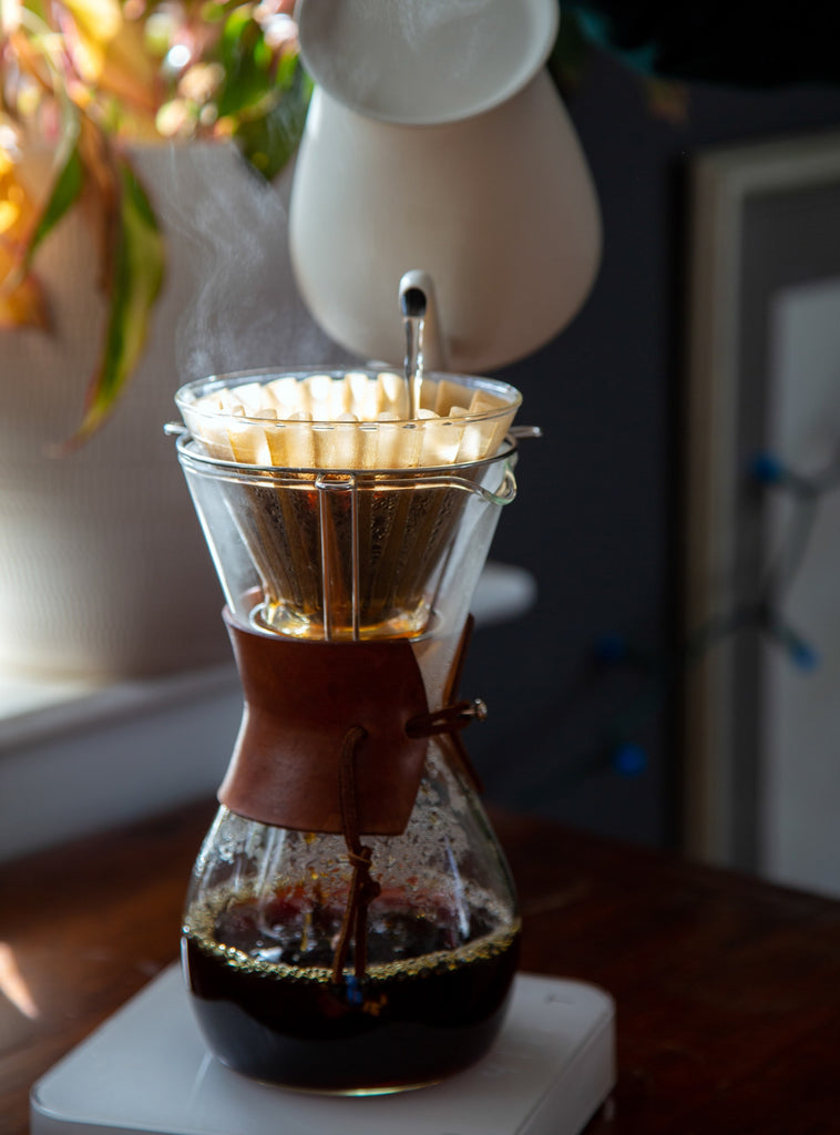 Coffee brewing workshop