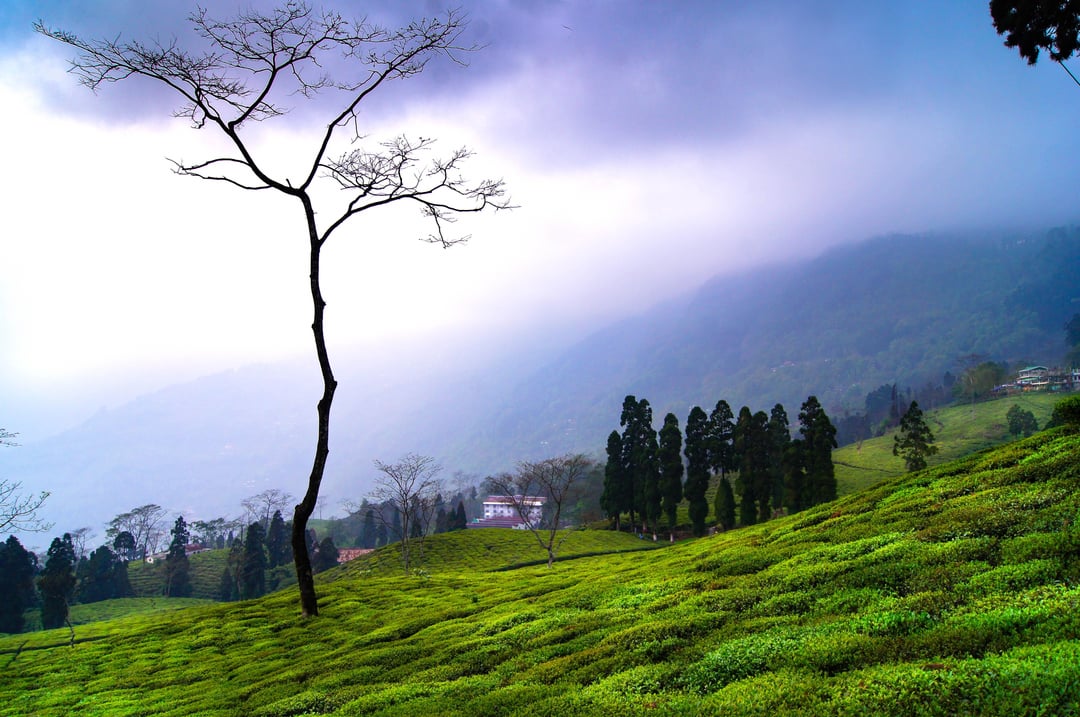 Mountain landscape