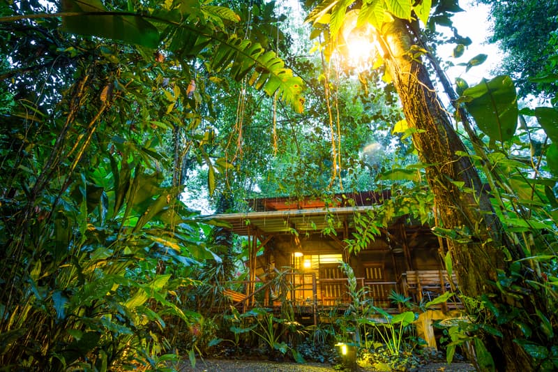 Sustainability initiatives