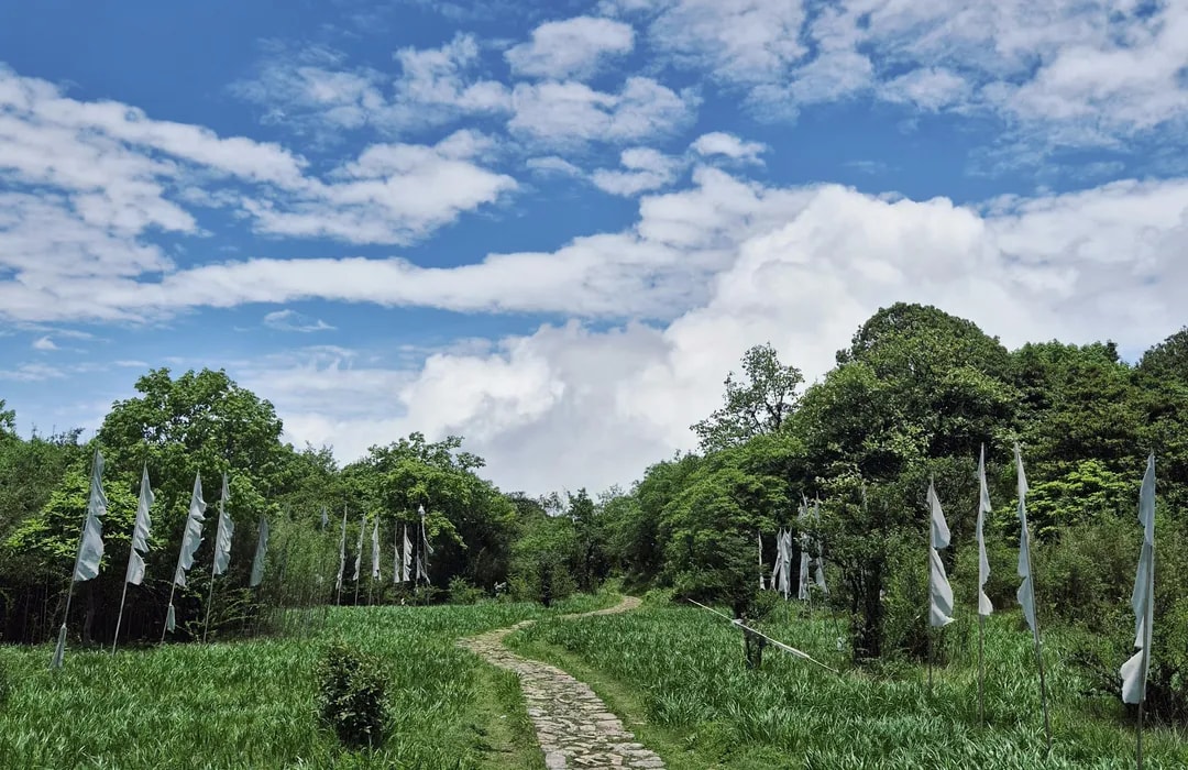 Mountain nature trail